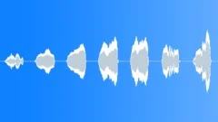 COMEDY,WHISTLE Sound Effect