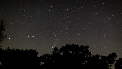 Comet c2025 a6 Lemmon on night sky. 4k timelapse with starry sky. Stock Footage 325889705