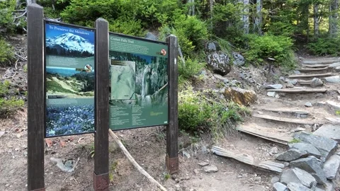 Comet Falls Trail Sign at Mount Rainier National Park Stock Footage 339117842