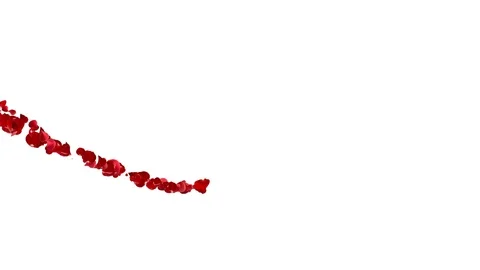 Comet heart of the red petals roses. Stock Footage 101314665