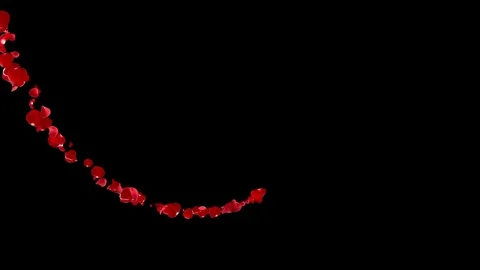 Comet rose petals. Stock Footage 101314631