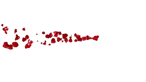 Comet rose petals. Vídeos de archivo 101314732