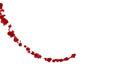 Comet rose petals. Stock Footage 101314759