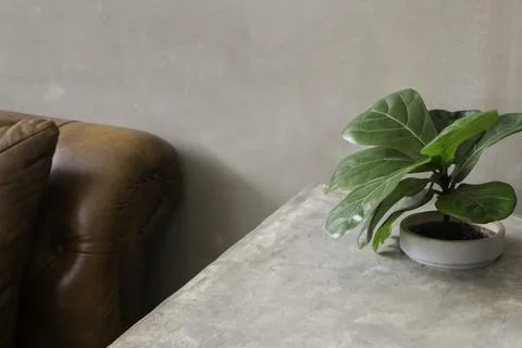 Comfortable co-working space interior with green plant Stock-Fotos