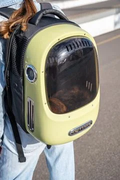Comfortable pet carrier, backpack with window with natural ventilation syst.. Stock Photos