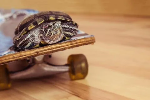 Comfortable transportation. Stock Photos