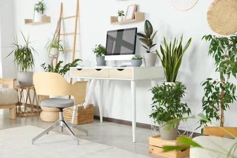 Comfortable workplace with modern computer and different houseplants in room Stock Photos
