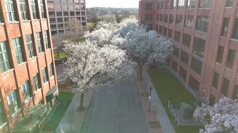 Comforting - Syracuse, NY Stock Footage 336597557