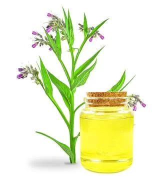 Comfrey oil Stock Photos