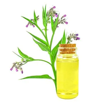 Comfrey oil Stock Photos