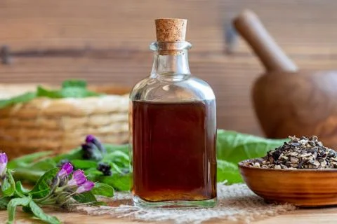 Comfrey tincture with comfrey root and fresh plant Stock Photos