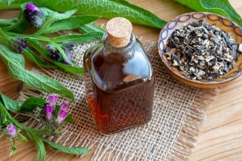 Comfrey tincture with dried comfrey root and fresh plant Stock Photos