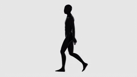 Comfy Walk Stock Footage 306661498