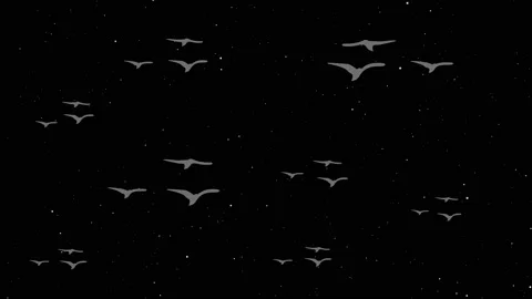Comic black sky with flock of flying birds in 4k video. Stock Footage 146948270