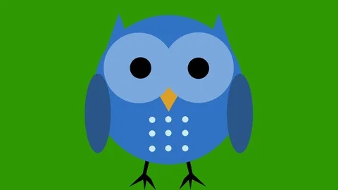 Comic cartoon cute owl animation green screen cut out loop blue Stock Footage 71097740