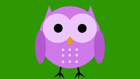 Comic cartoon cute owl animation green screen cut out loop pink Stock Footage 71097959