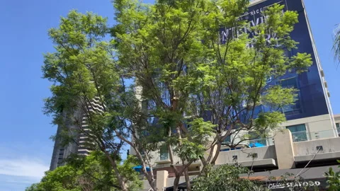 Comic Con 2022 Stock Footage 202146012