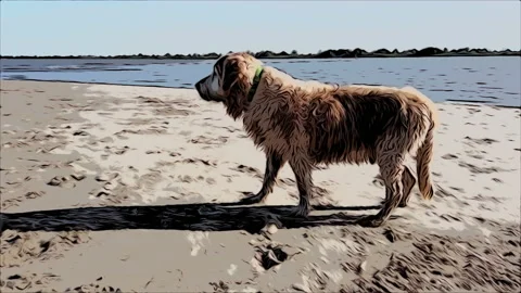 Comic Dog Video stock 133657255