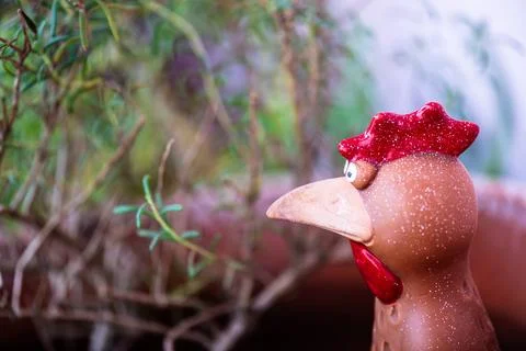 A comical ceramic rooster head and shoulders looking at a rosemary plant. Stock Photos