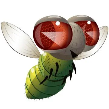 Comical fly. Stock Illustration