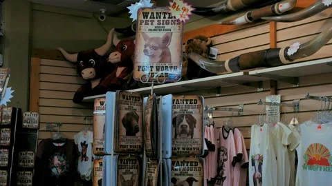 Comical Pet Signs In Old Texas Store Stock Footage 242951187