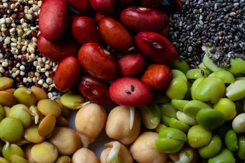Comida vegana, lose-up da mistura de sementes germinadas Stock Photos