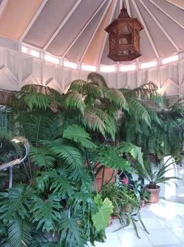 Comillas Stock Photos