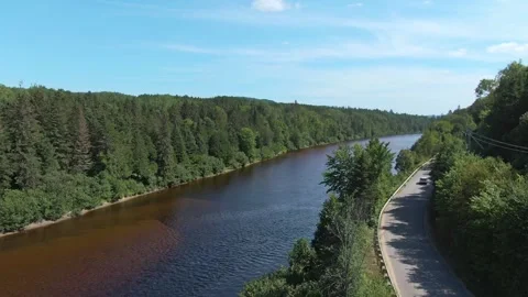 Coming down from over the trees by the river, with a drone, just beside a c.. Stock Footage 273123019