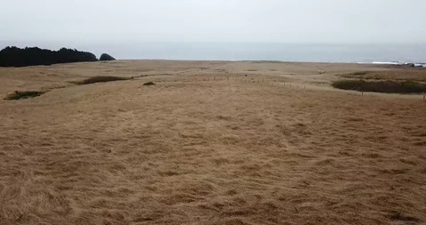 Coming up on a field on the coast Stock Footage 94462611