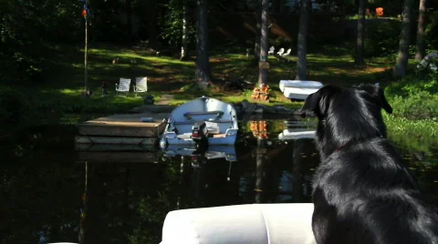 Coming Home Stock Footage 770486