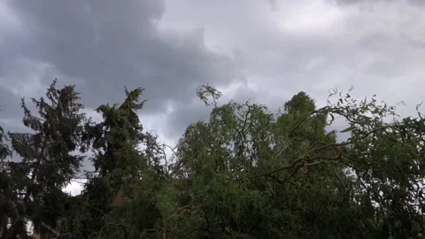 Coming storm with strong wind and black clouds Stock Footage 199604879