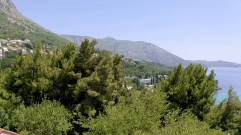 Coming up through trees to see beautiful coastline Stock-Footage 114624515