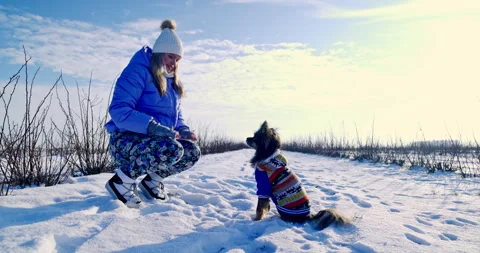 On command, the dog jumps into the owner's lap. Stock Footage 253440124