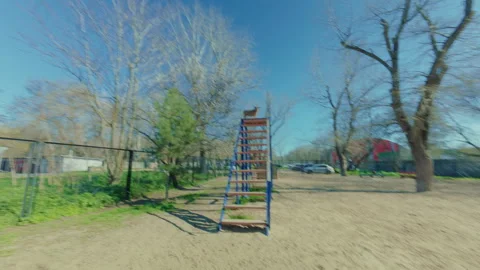 On command, the dog runs onto a large bridge of steps and onto the bars. Видео 334130068