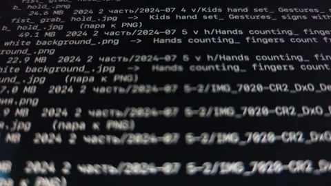 Command line console with dark text output. Minimal black terminal prompt o.. Stock Footage 347802493