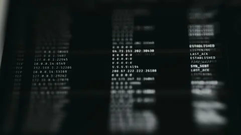 Command-line interface showing active network connections and their states Stock Footage 335880019