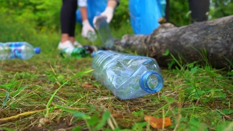 Command of volunteers collecting bottles in the forest. Environment pollution co 스톡 동영상 138056740