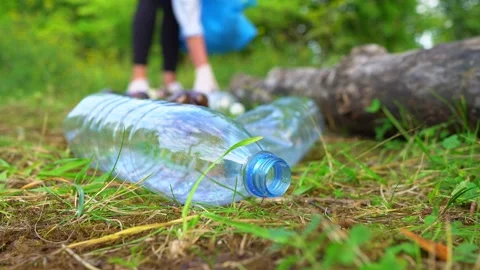 Command of volunteers collecting bottles in the forest. Environment pollution co 스톡 동영상 138057548