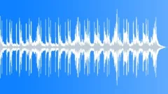 Commercial acoustic thoughts Stock Music