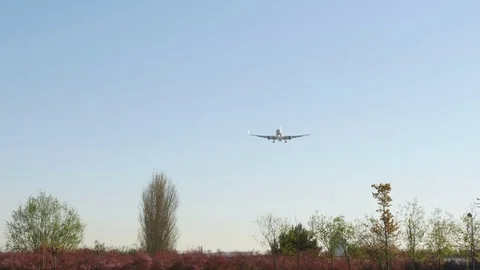 Commercial Airliner Landing Stock Footage