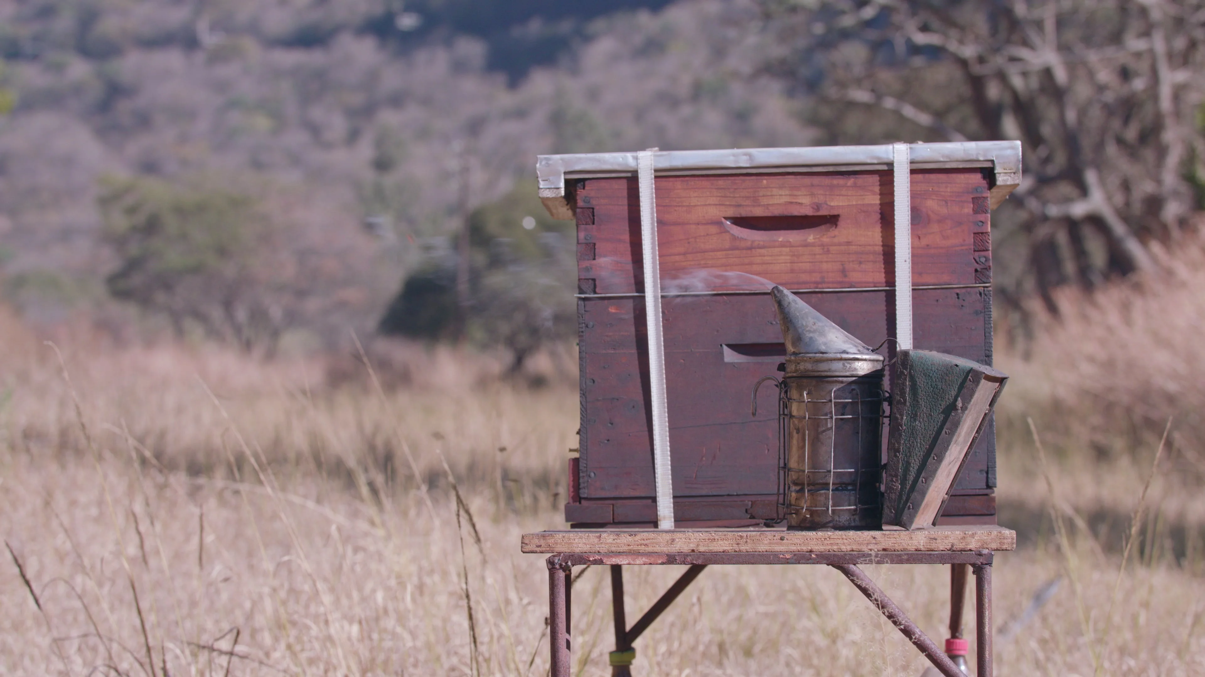 Video Commercial Bee Hive On Stand With Adjacent Smoker In Rural