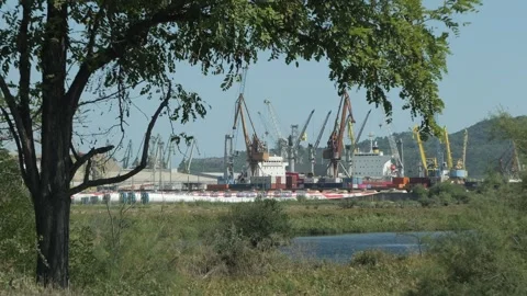 Commercial cargo port cranes loading shipping containers Stock Footage 345928312