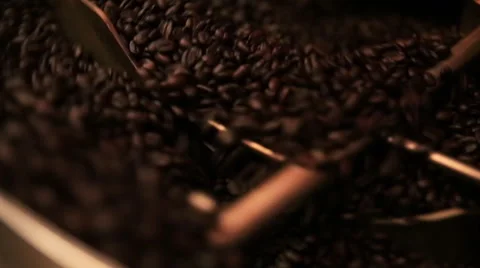 Commercial Coffee Roaster Stock Footage 50406937