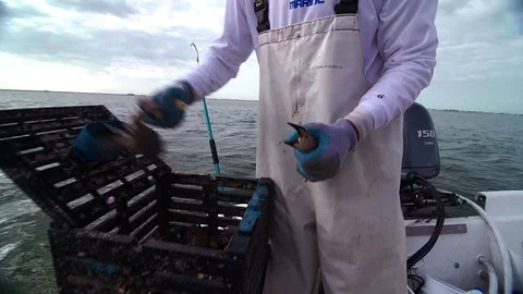 Commercial Crabber checking traps Stock Footage 111287189
