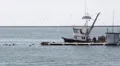 Commercial Fishing Boat and Live Bait Barge HD Footage