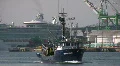 Commercial Fishing Boat In Channel HD Footage