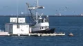 Commercial Fishing Boat Takes On Bait HD Footage