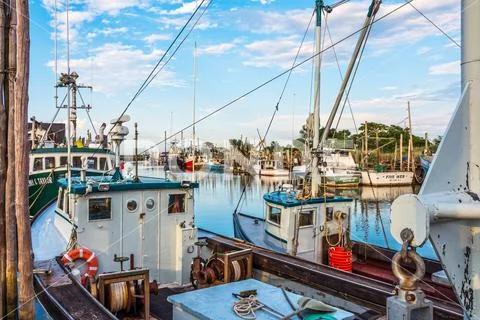 Commercial Fishing Shoal Harbor Stock Photos