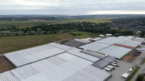 Commercial Greenhouse Facility - Loading Dock Area - Surrey - Canada Stock Footage 347161083