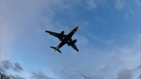 Commercial Jet Airplane Landing in airport runway Stock Footage 242194593